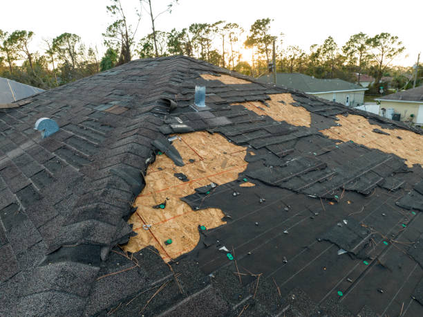 Best Hot Roofs  in Scott, LA